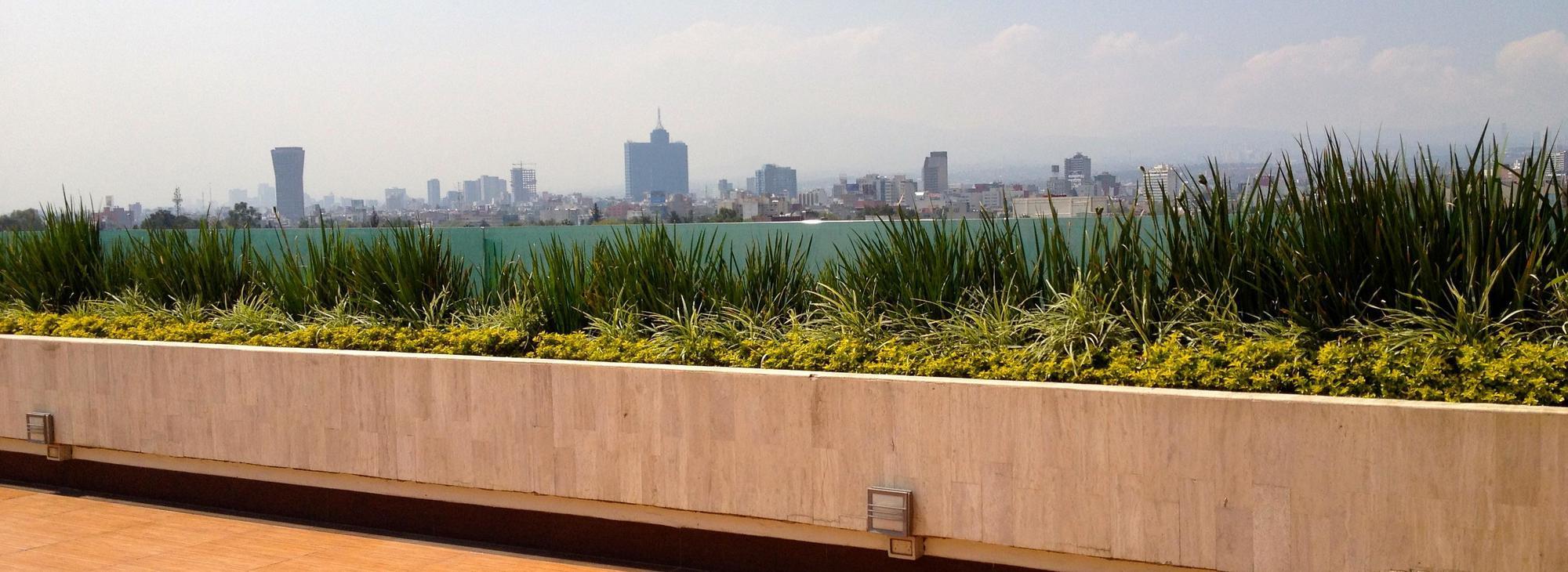 Marbella Hotel México DF