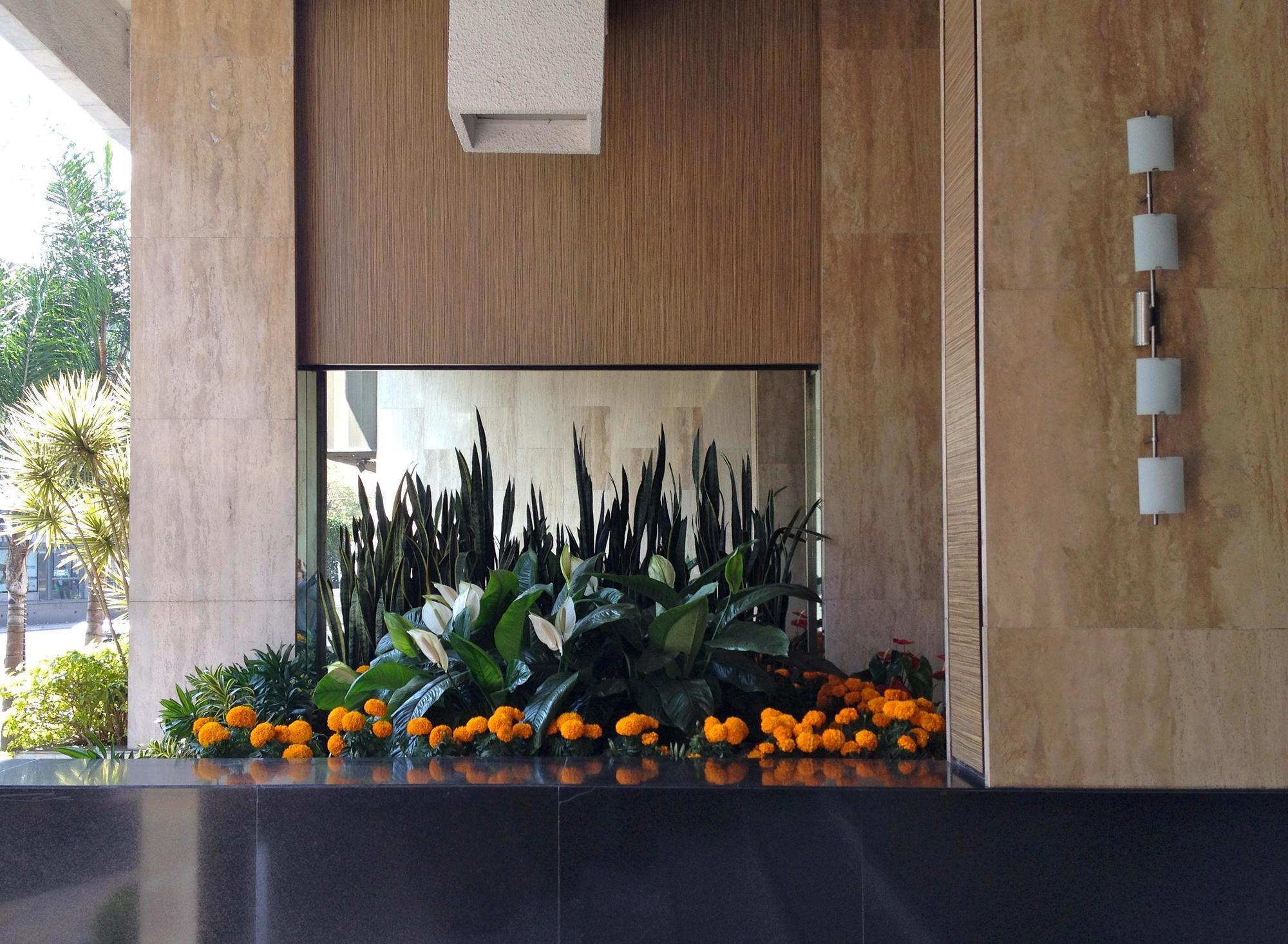 Hotel Marbella México DF